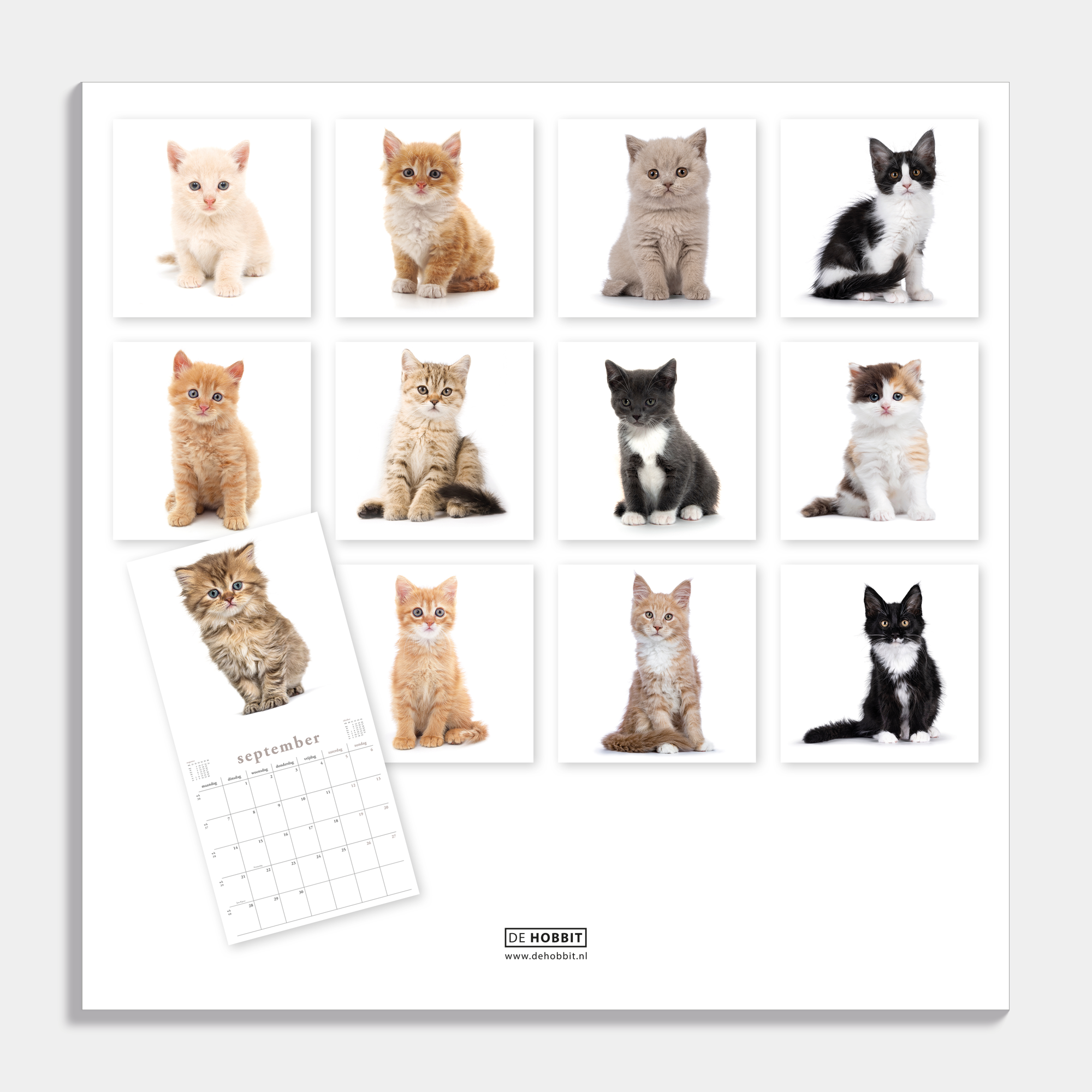 Jaarkalender 2026 met foto's van katten – achteraanzicht.