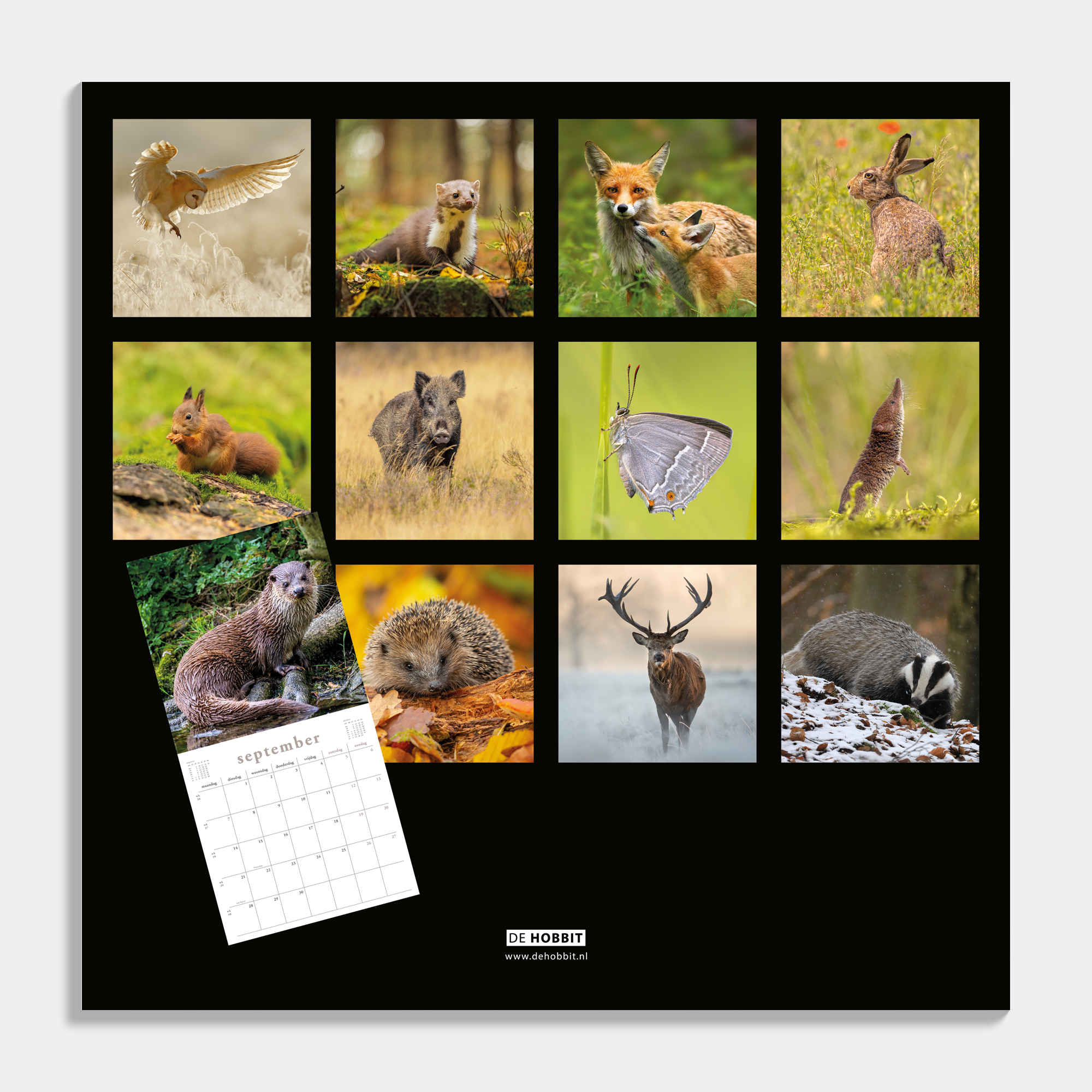 Jaarkalender 2026 natuur – achteraanzicht.