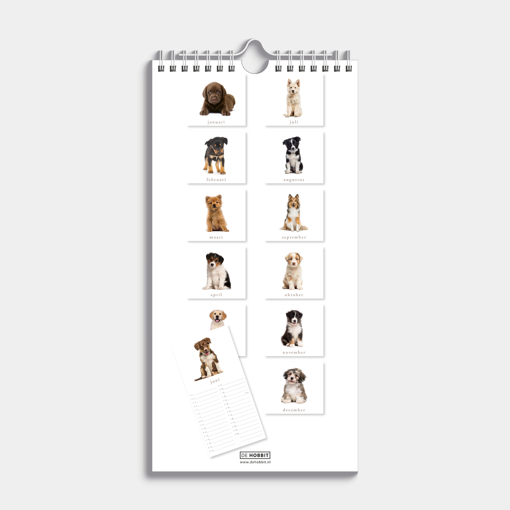 MINIKALENDER 2026 HONDEN