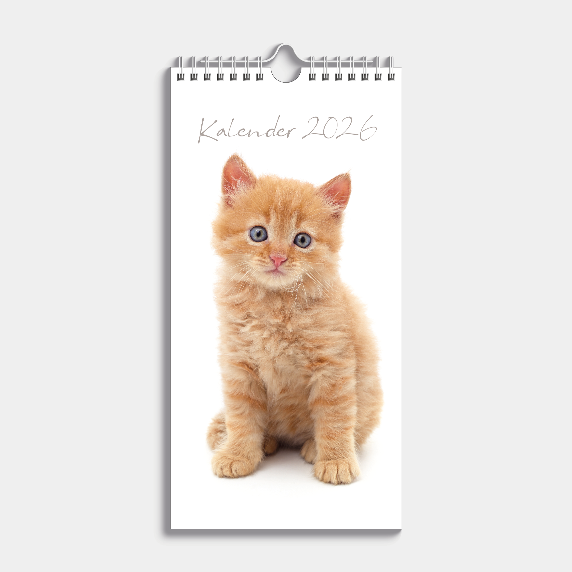 MINIKALENDER 2026 KATTEN
