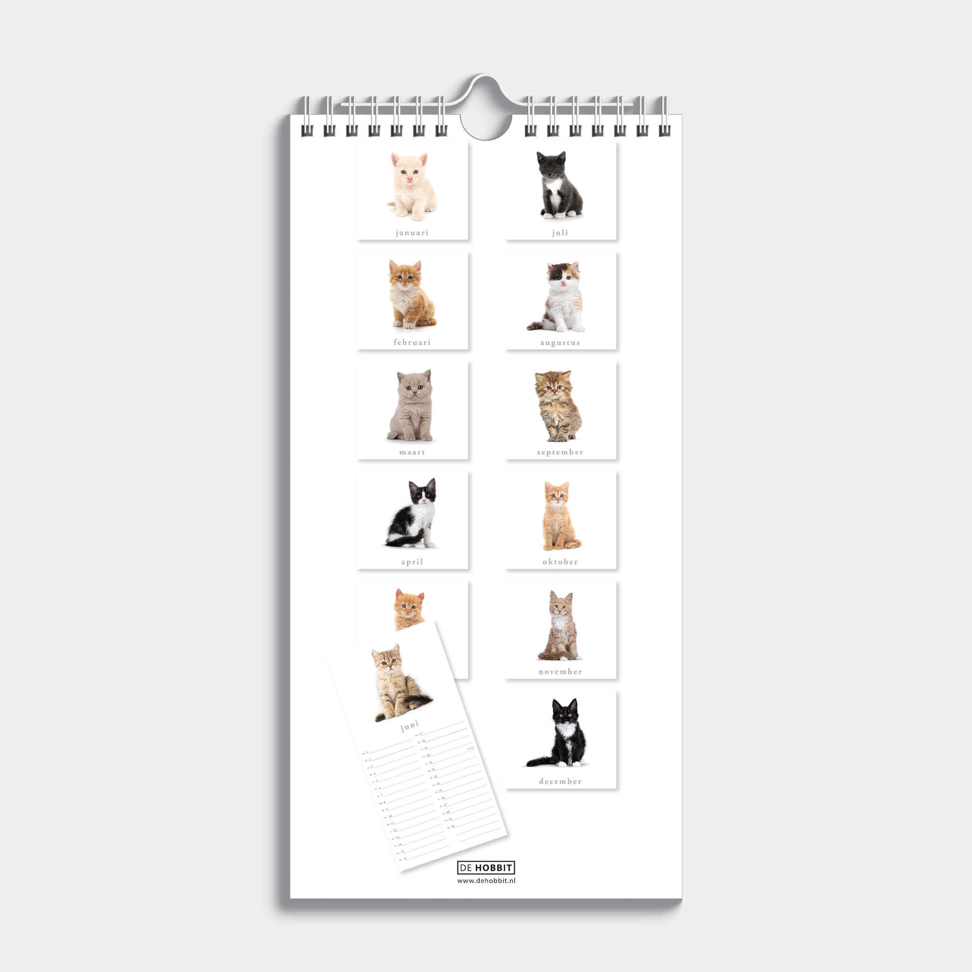 MINIKALENDER 2026 KATTEN