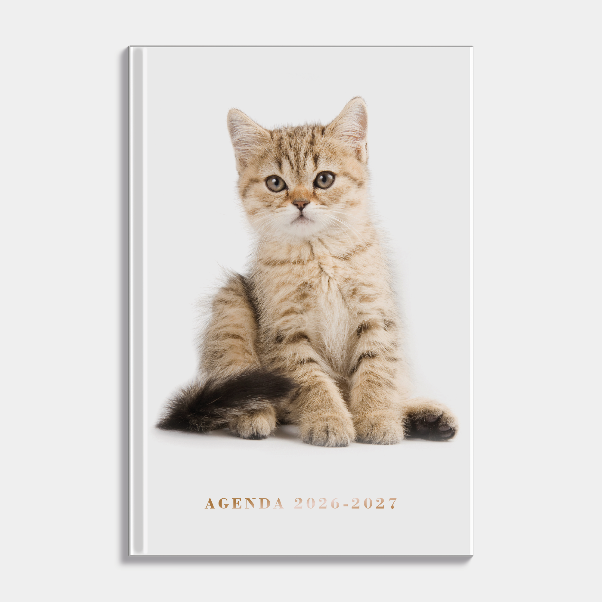 AGENDA 2026-2027 ±A5 KATTEN