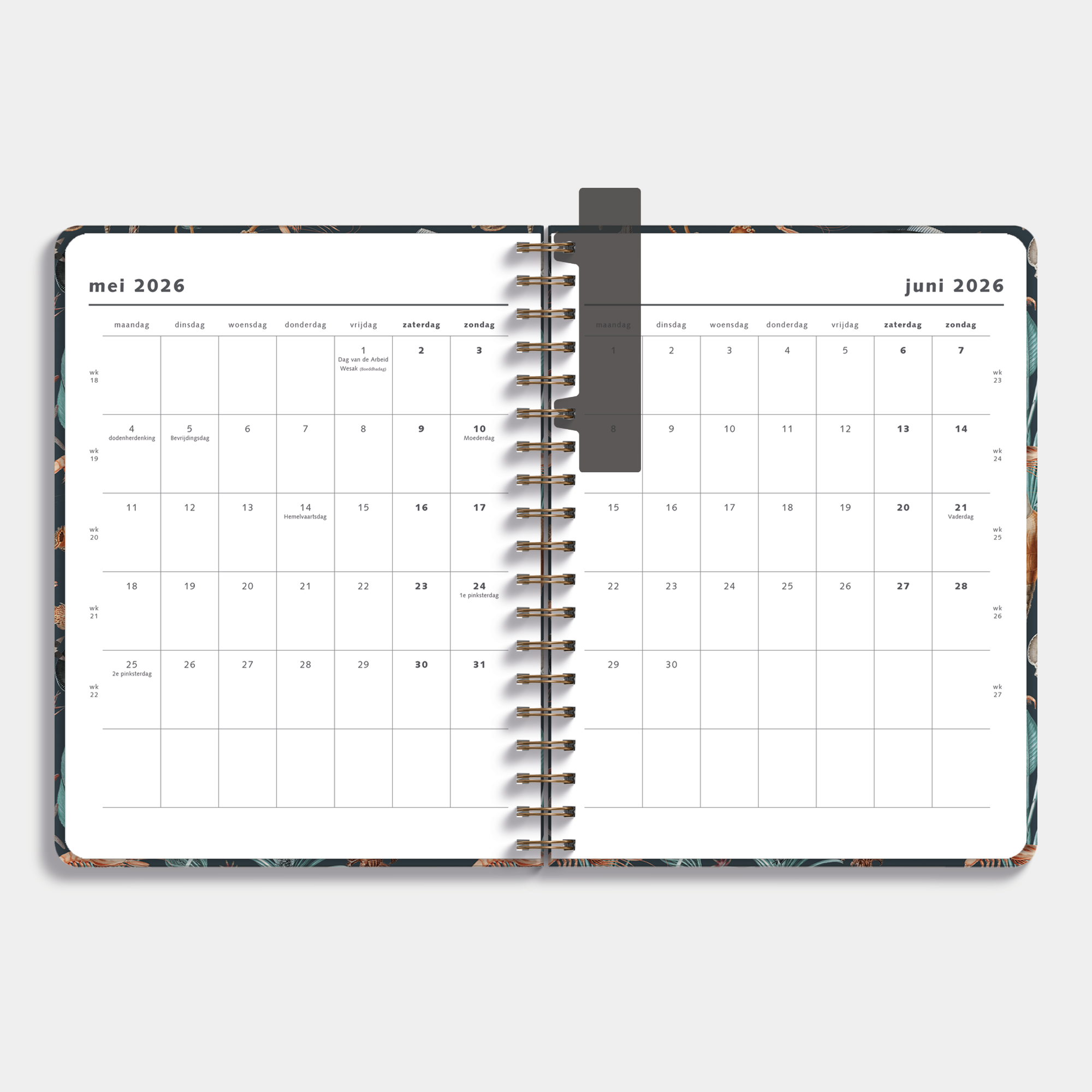 WEEKPLANNER 2026-2027 ±A4 OCEAAN