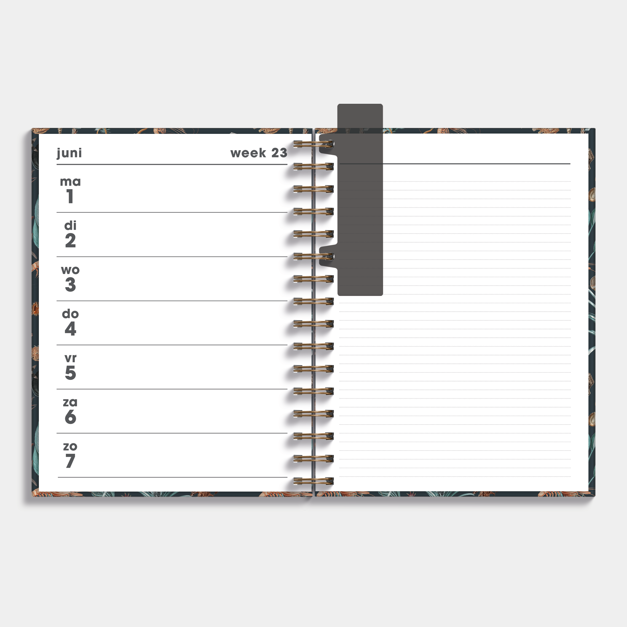 NOTITIEAGENDA 2025-2026 ±A4 OCEAAN