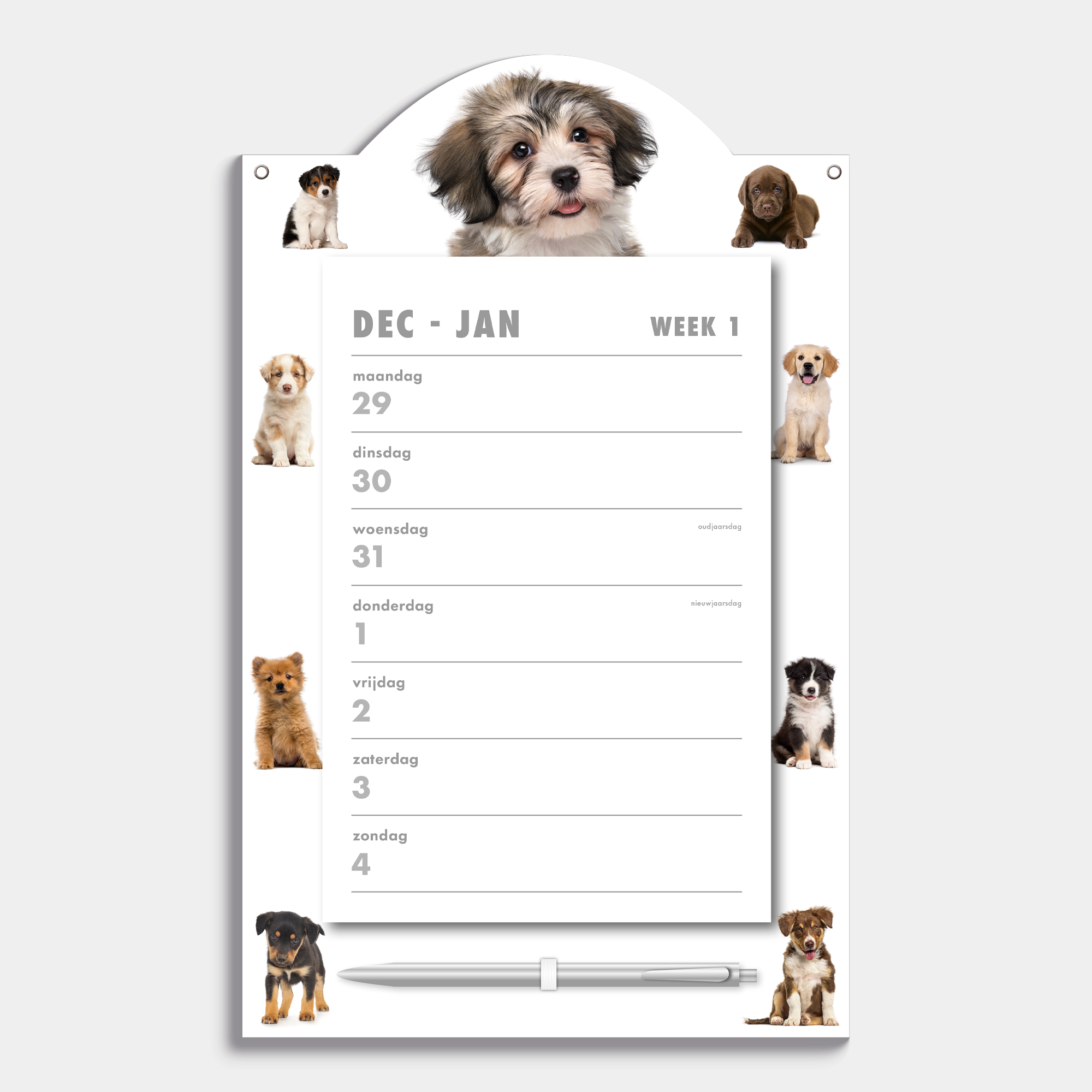 Scheurkalender 2026 op een kartonnen bord voorzien van foto's van lieve honden en puppies, met pen en ophangkoord – binnenwerk met weekoverzicht.