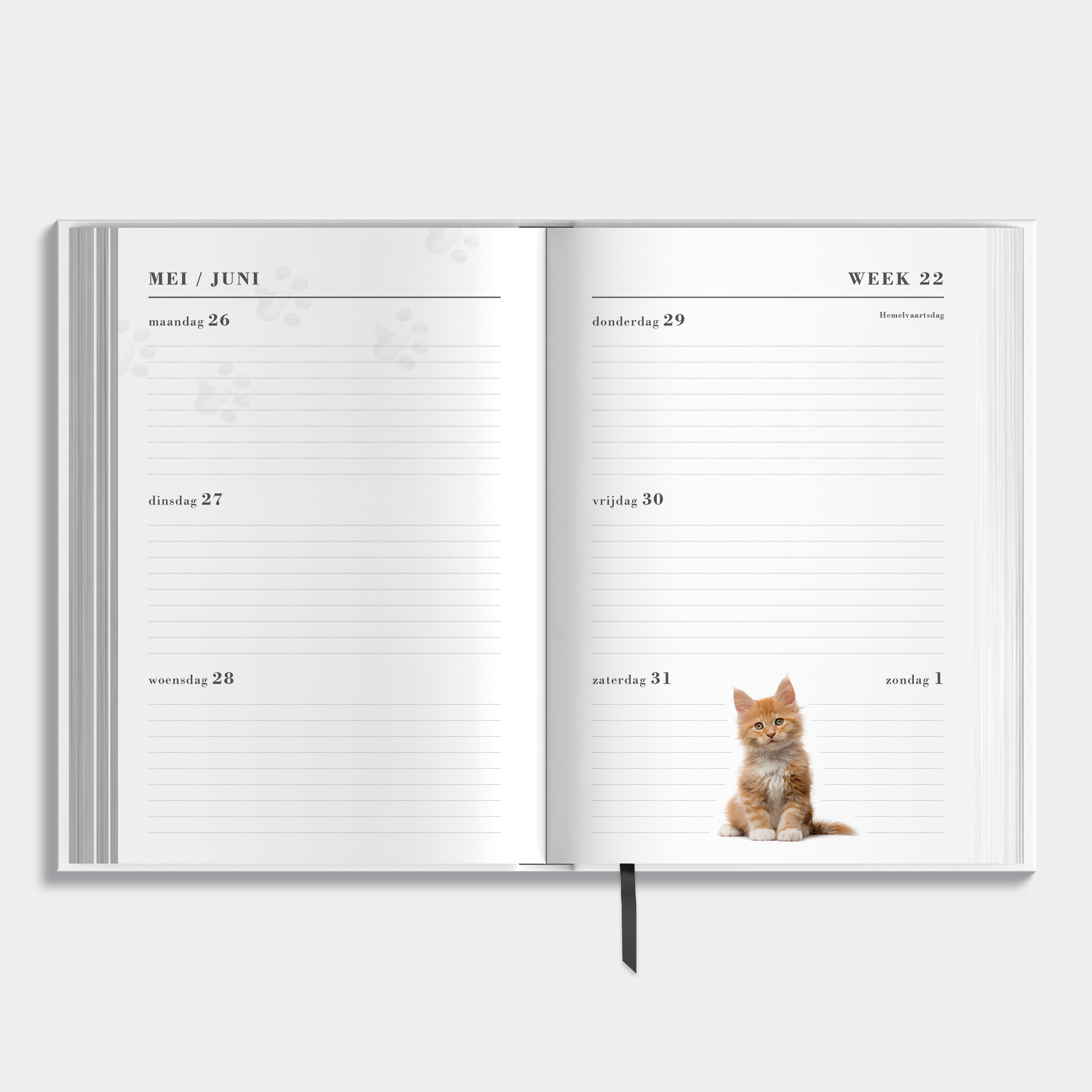 Katten agenda 2025-2026 – binnenwerk met weekoverzicht.