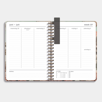 18-Monats-Kalender-Set 2025–2026 ± A4 Wildblumen