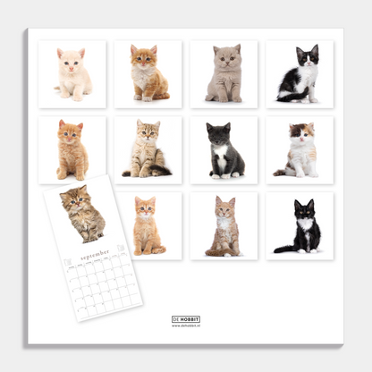 Jaarkalender 2026 met foto's van katten – achteraanzicht.