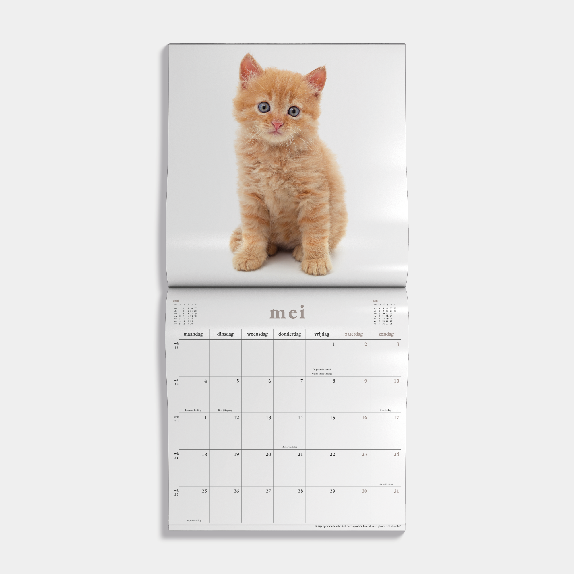Jaarkalender 2026 met foto's van katten – binnenwerk met maandoverzicht.