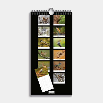 MINIKALENDER 2026 VOGELS