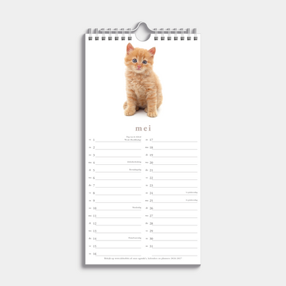 MINIKALENDER 2026 KATTEN
