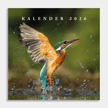 JAARKALENDER 2026 VOGELS