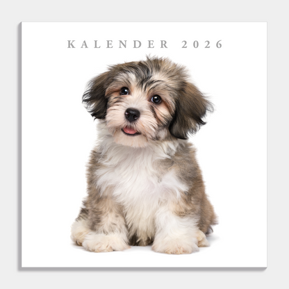 JAARKALENDER 2026 HONDEN