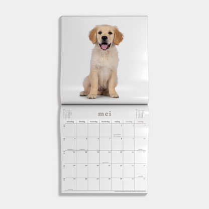 JAARKALENDER 2026 HONDEN