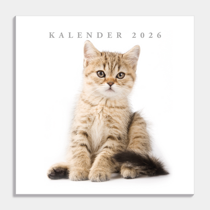 JAARKALENDER 2026 KATTEN