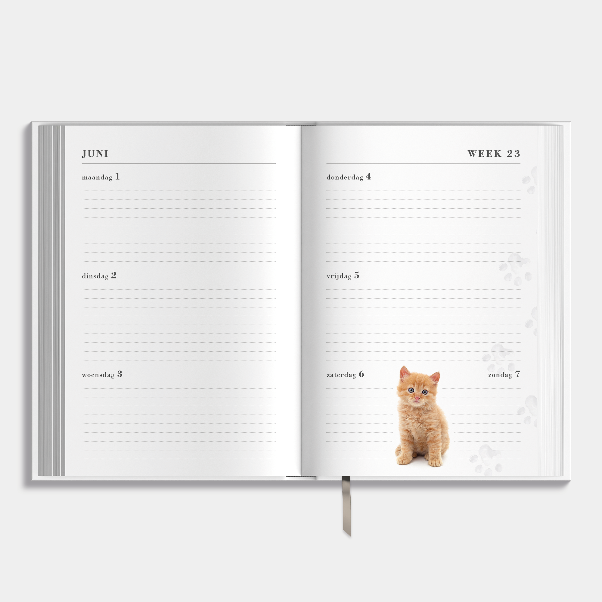 AGENDA 2026-2027 ±A5 KATTEN