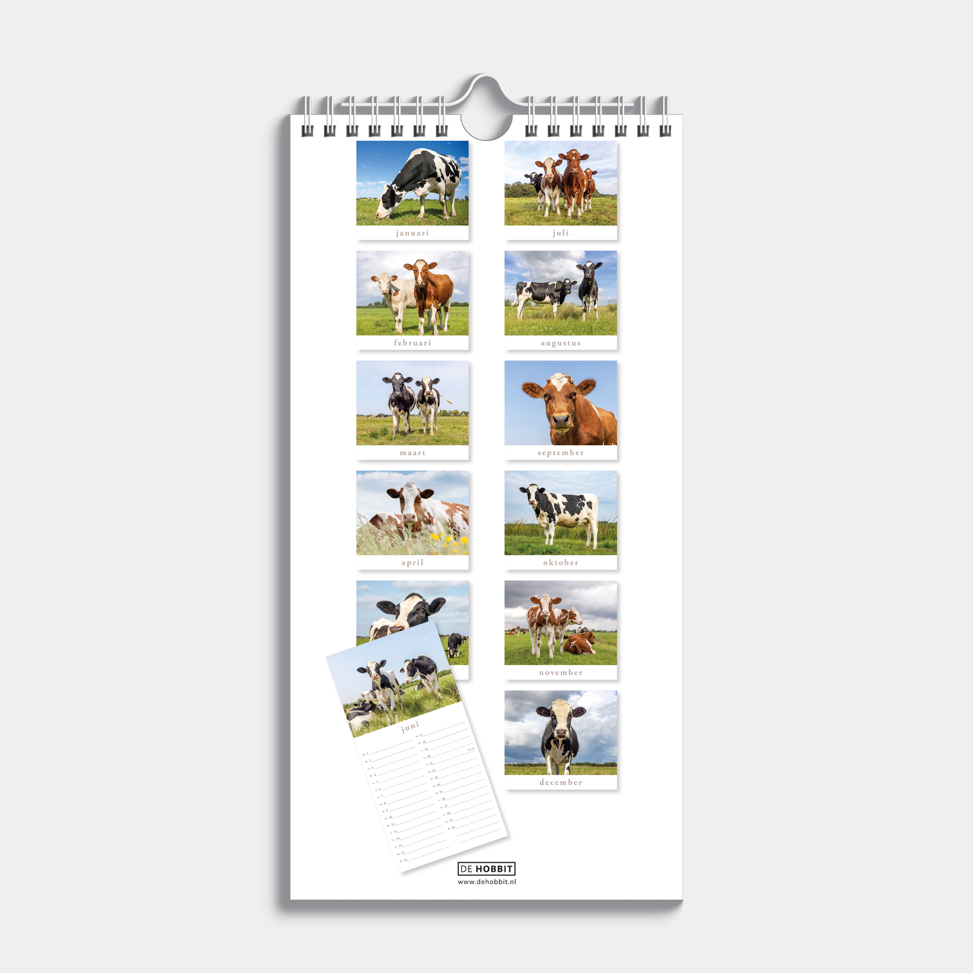 Kleine spiraalgebonden jaarkalender 2026 met foto's van koeien – achteraanzicht.