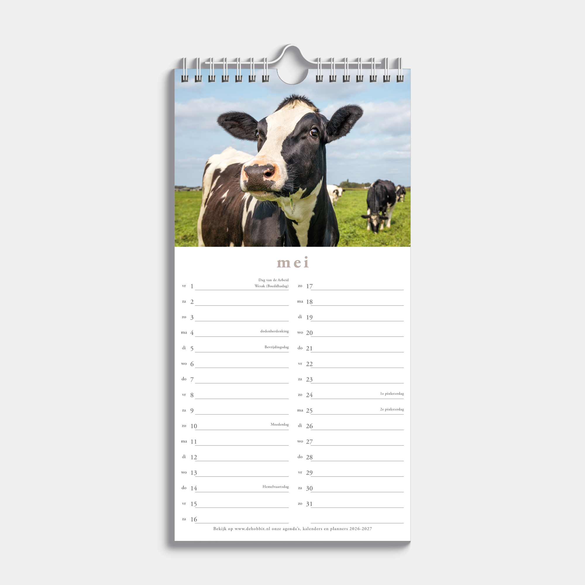 Kleine spiraalgebonden jaarkalender 2026 met foto's van koeien – binnenwerk met maandoverzicht.