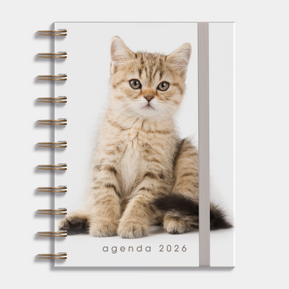 A6 ringband agenda 2026 met een foto van een kat, harde cover en elastische sluiting – vooraanzicht.