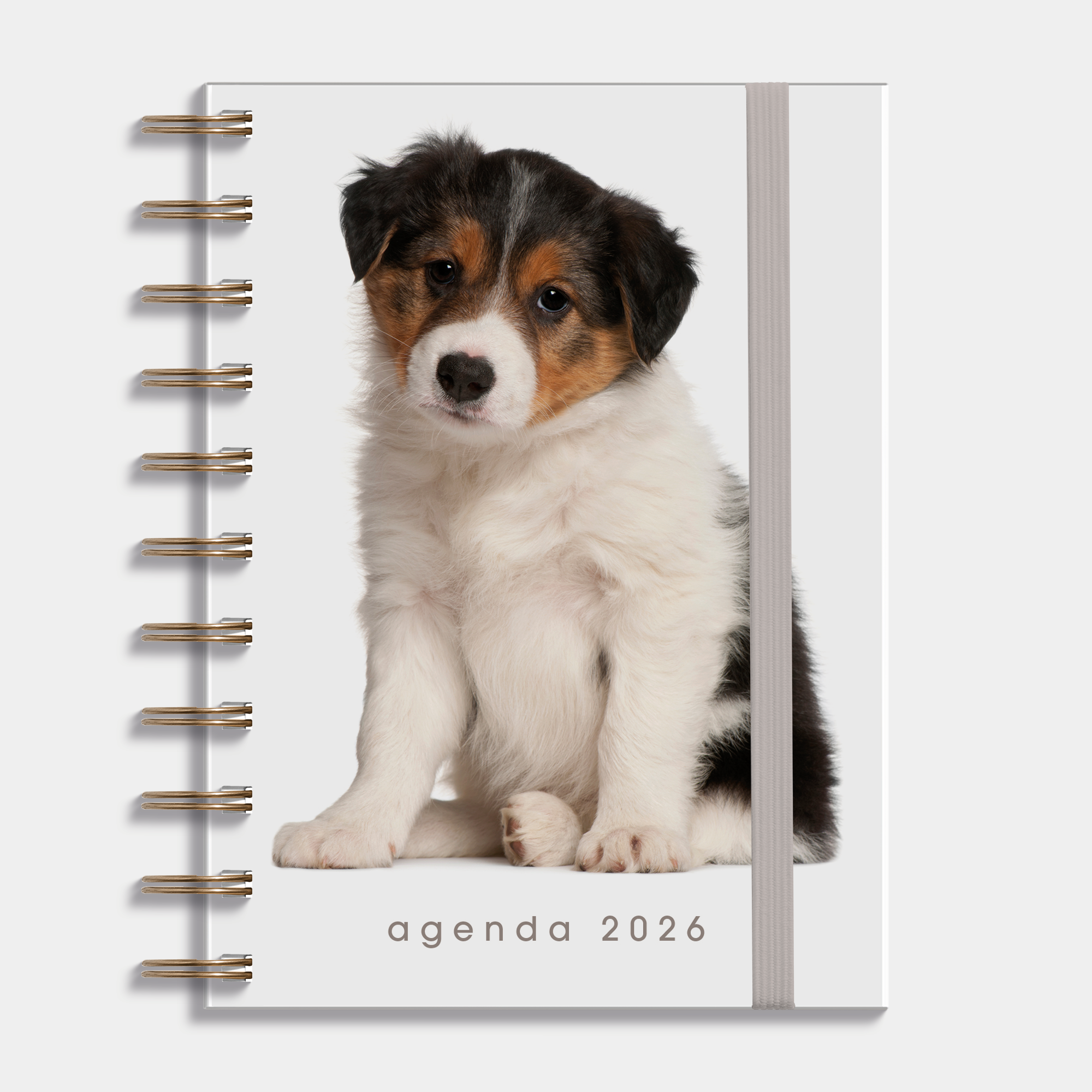 A6 ringband agenda 2026 met een foto van een hond, harde cover en elastische sluiting – vooraanzicht.